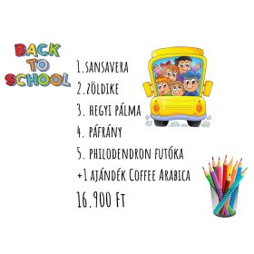   Back to School növénypakk – Friss lendület az iskolakezdéshez