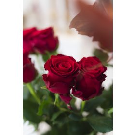 Ecuadori Vörösrózsa 30 szál