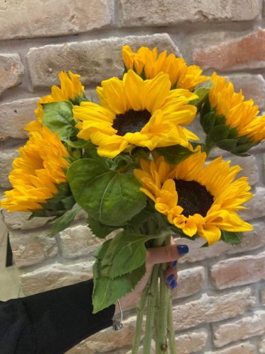 Napraforgó Vidám Csokor