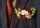 Pocket boutonniere -BORDÓ