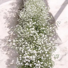 Habos Rezgős esküvői futó