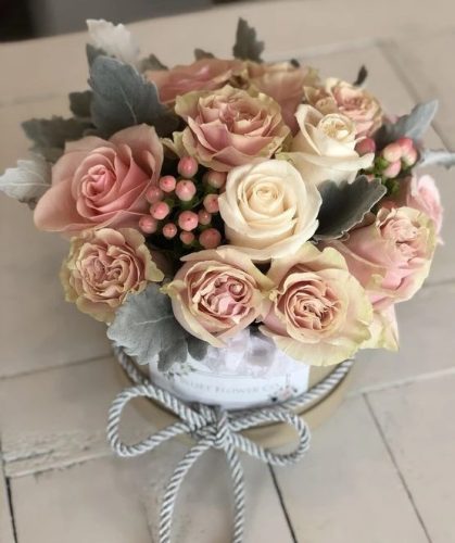 Anabel box