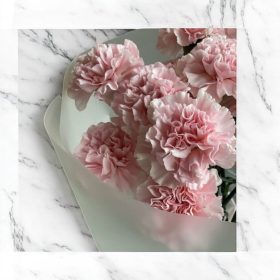 Lágy rózsaszín szegfű Sírcsokor