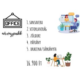Office növénypakk – Zöld energia a munkahelyen